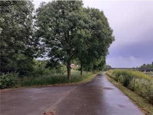 Îlot de Warneton – Rive Gauche (F)