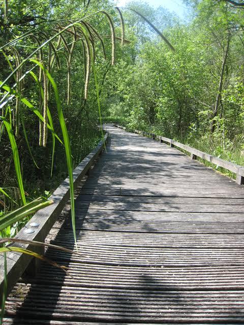 Image média: Utiliser le naturel et l'agréable !