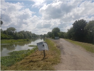 Ilot écluse de Comines – Rive droite (B)