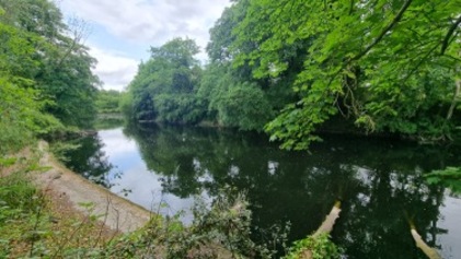 Îlot de Houplines – Rive droite (B)