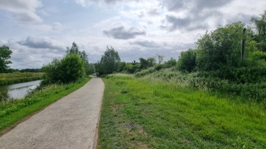 Ilot de Houplines – Rive droite (B)